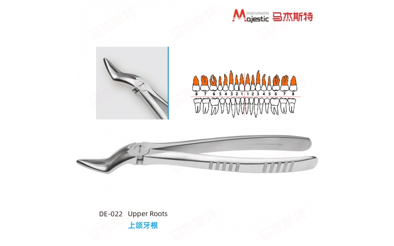 Adult Extracting Forceps English Pattern(DE-022)