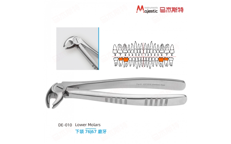 Adult Extracting Forceps English Pattern(DE-010）