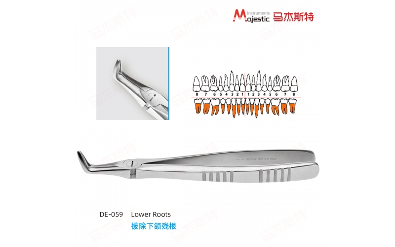 Adult Extracting Forceps English Pattern (DE-059)