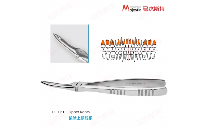 Adult Extracting Forceps English Pattern(DE-061)