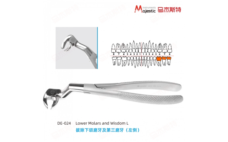 Adult Extracting Forceps English Pattern(DE-024)