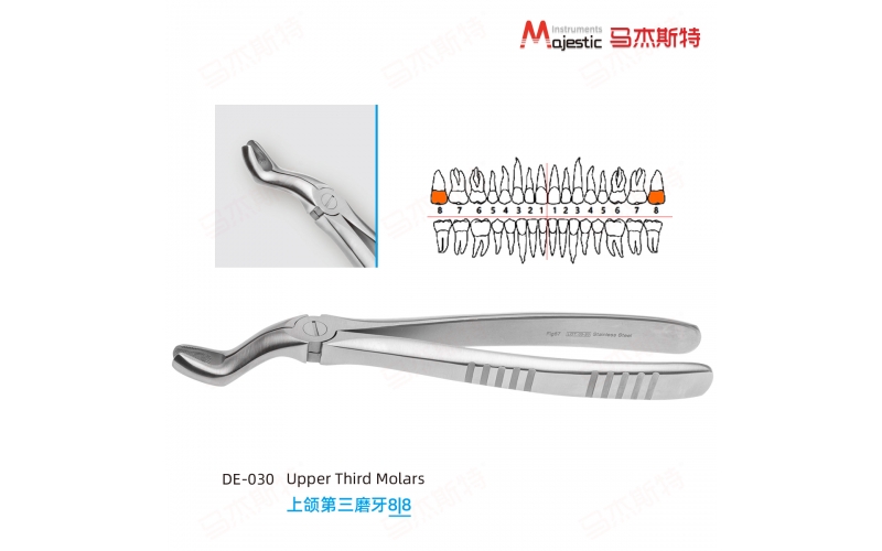 Adult Extracting Forceps English Pattern（DE-030)）