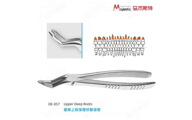 Adult Extracting Forceps English Pattern (DE-057)