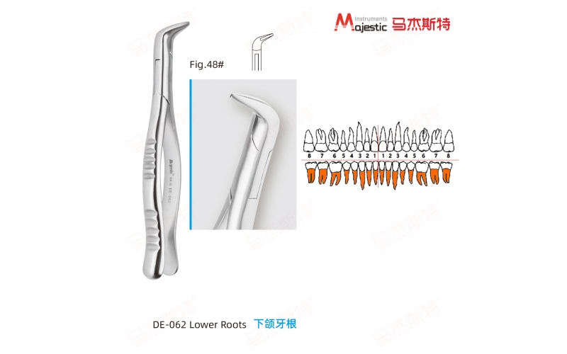 Adult Extracting Forceps American Pattern (DE-062)