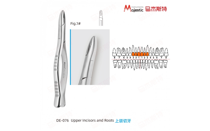 Adult Extracting Forceps American Pattern (DE-076)