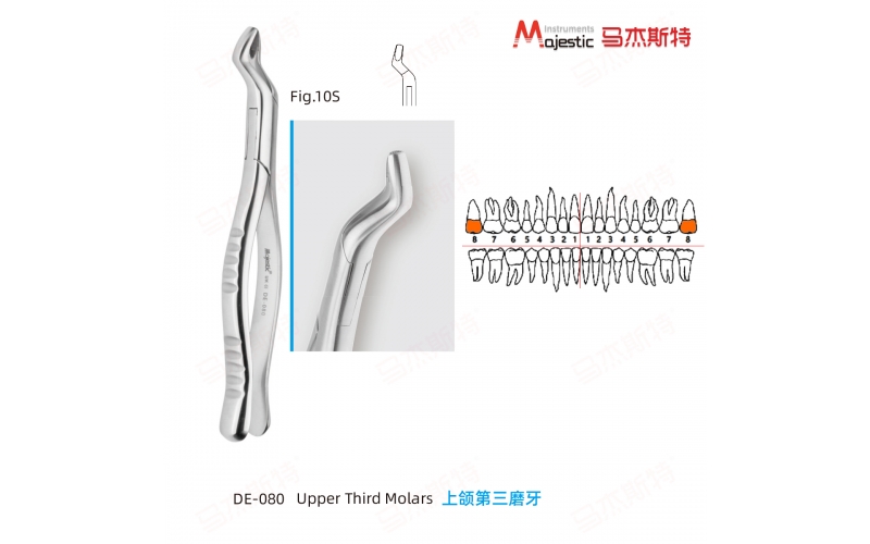 Adult Extracting Forceps American Pattern (DE-080)