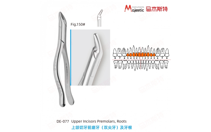 Adult Extracting Forceps American Pattern  (DE-077)