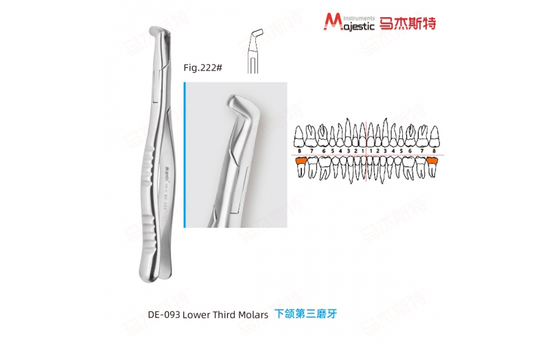 Adult Extracting Forceps American Pattern  (DE-093)