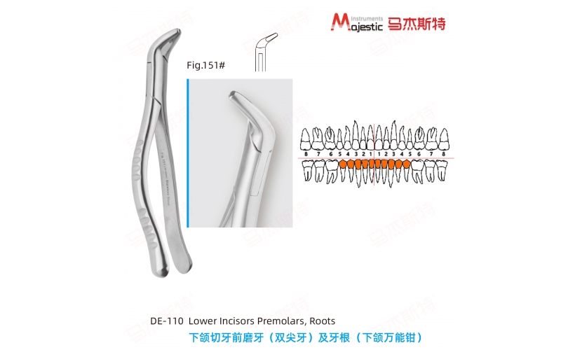 Adult Extracting Forceps American Pattern （DE-110）