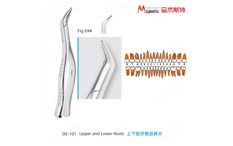 Adult Extracting Forceps American Pattern (DE-101)