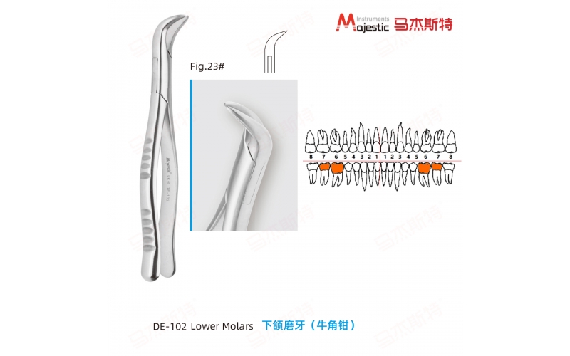 Adult Extracting Forceps American Pattern (DE-102)