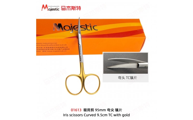 Iris scissors (01613)